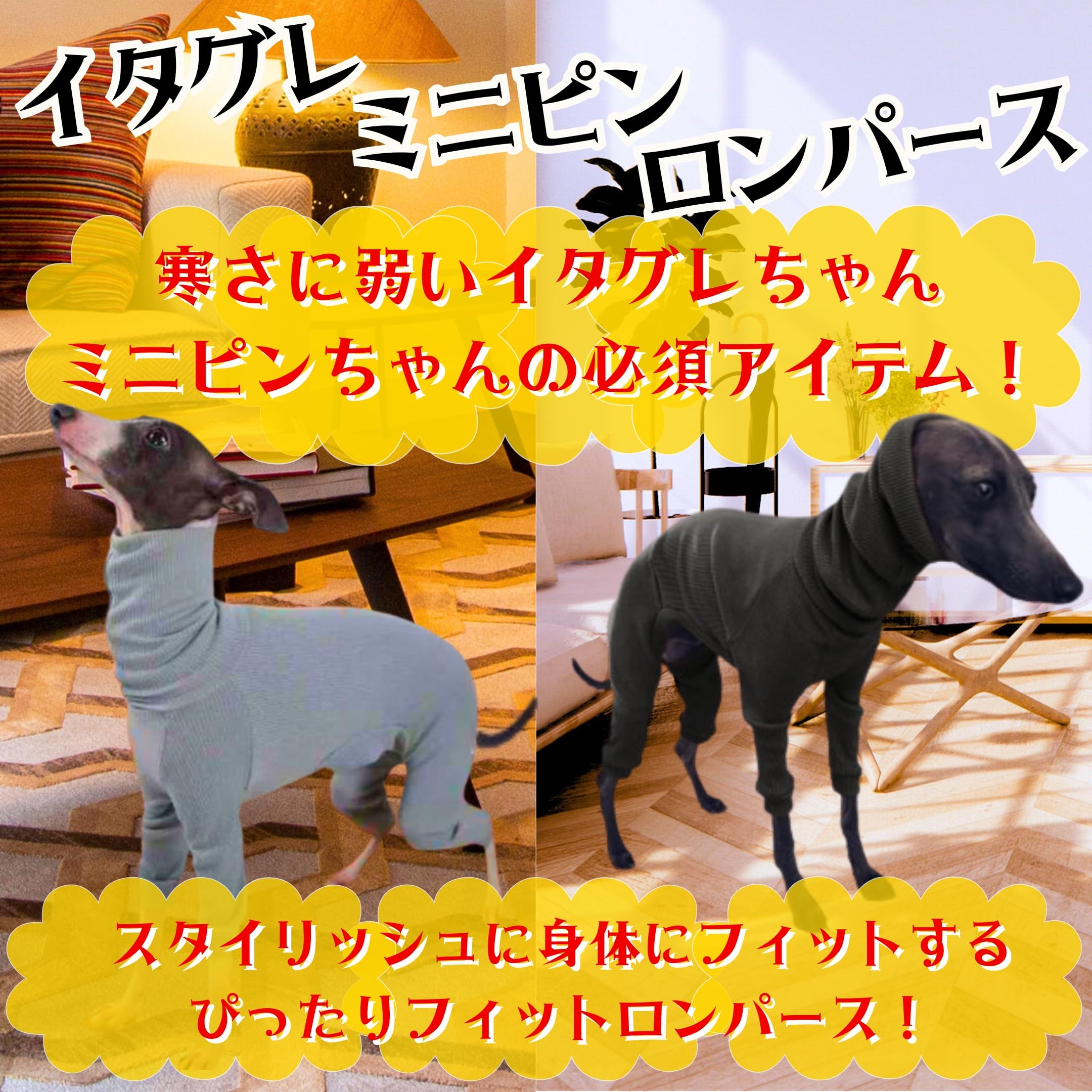 明るいイエローロンパース　Sサイズ　イタグレ服 Amazon | LEONIA イタグレ服 ロンパース イタリアングレーハウンド